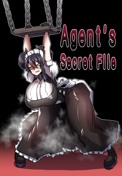 Agent's Secret File