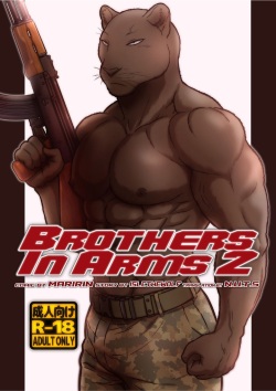 Brothes in Arms 2