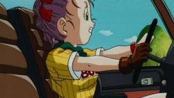 Bulma Collection