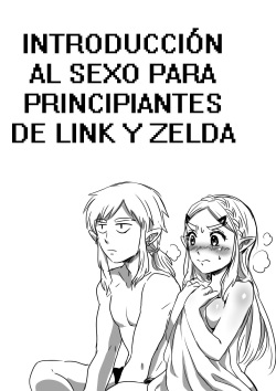 Link to Zelda no Shoshinsha ni Yasashii Sex Nyuumon | Introduccion Al Sexo Para Principiantes de Link y Zelda