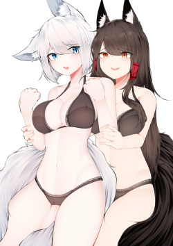 Kaga & Akagi & Amagi